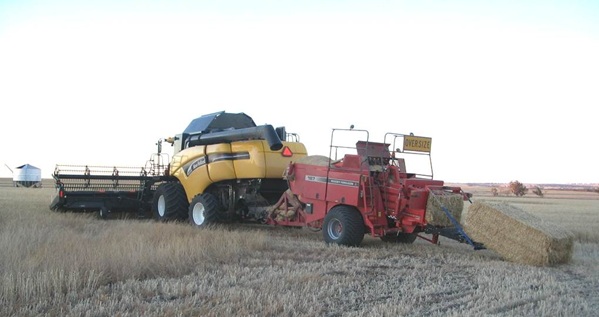 Bale system collecting and baling chaff