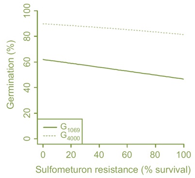 graphs showing relationship between dormancy characteristics and resistance to the herbicide sulfometuron methyl