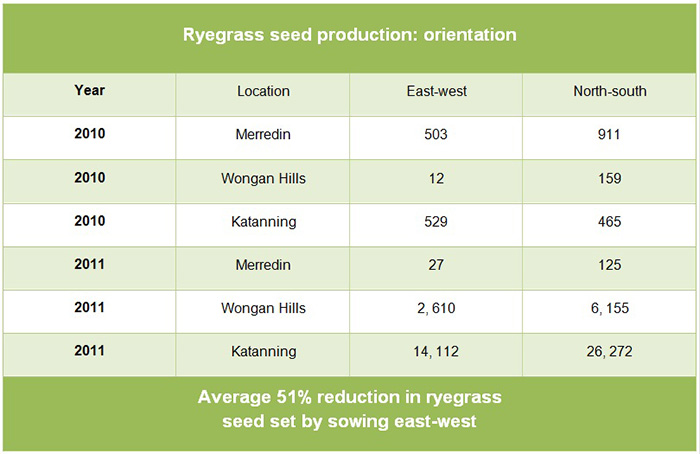 Ryegrass seed production table
