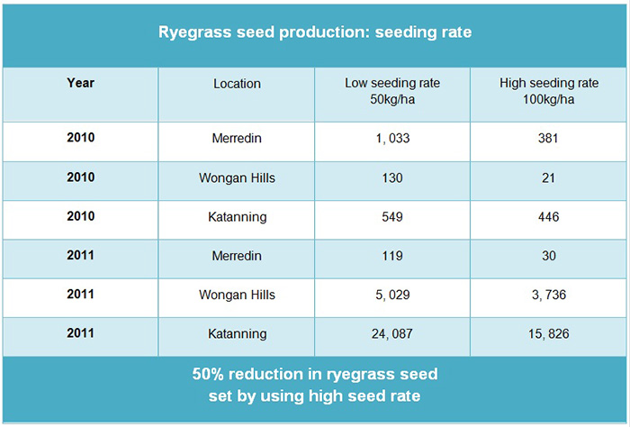 Table about ryegrass seed production