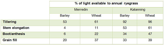 Table of percentage of light available to the annual ryegrass canopy