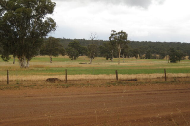 Farm paddock