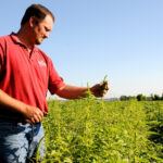 Jason Norsworthy in field