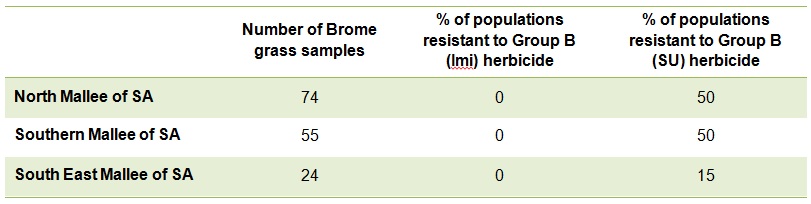 Results of a random survey of Brome Grass in the Mallee region of South Australia