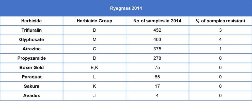 JBroster 2014 ryegrass options