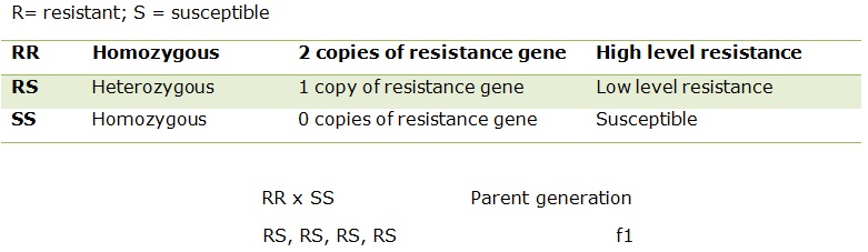 Table showing plants resistance through genes