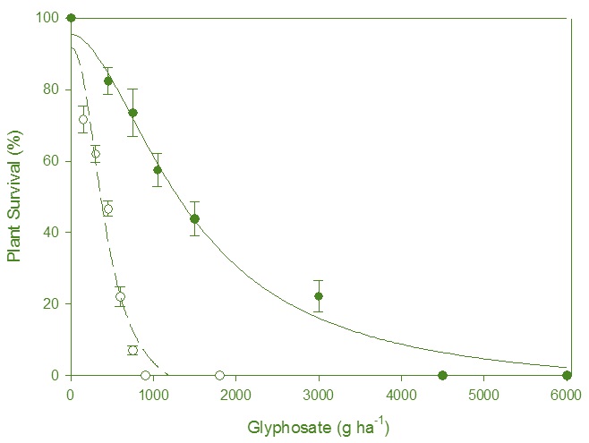 Graph showing relationship of glyphosate and plant survival