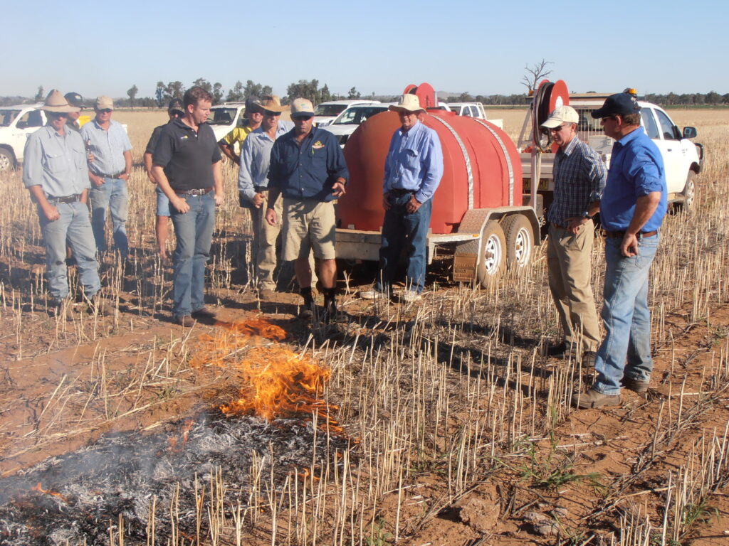 Windrows and farmers