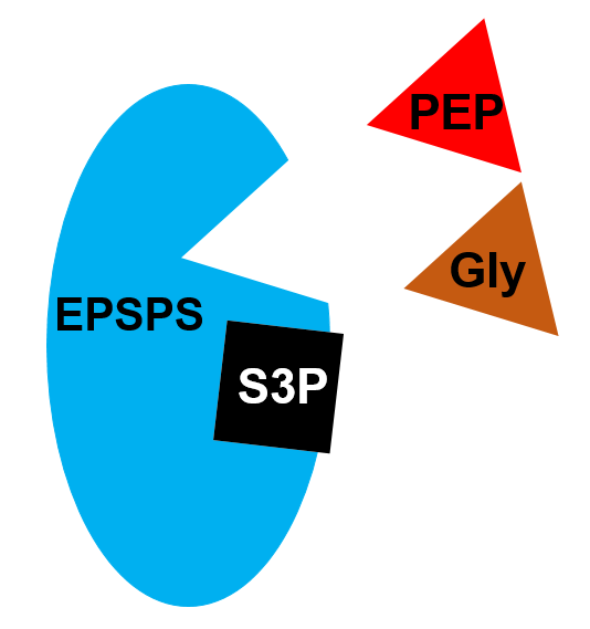 3 epsps