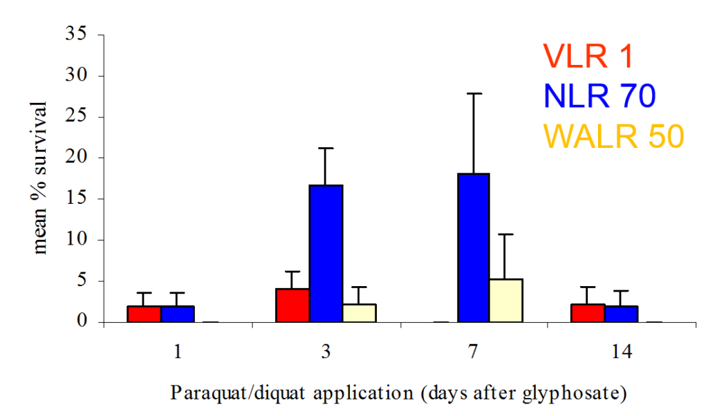 neve timing between knocks