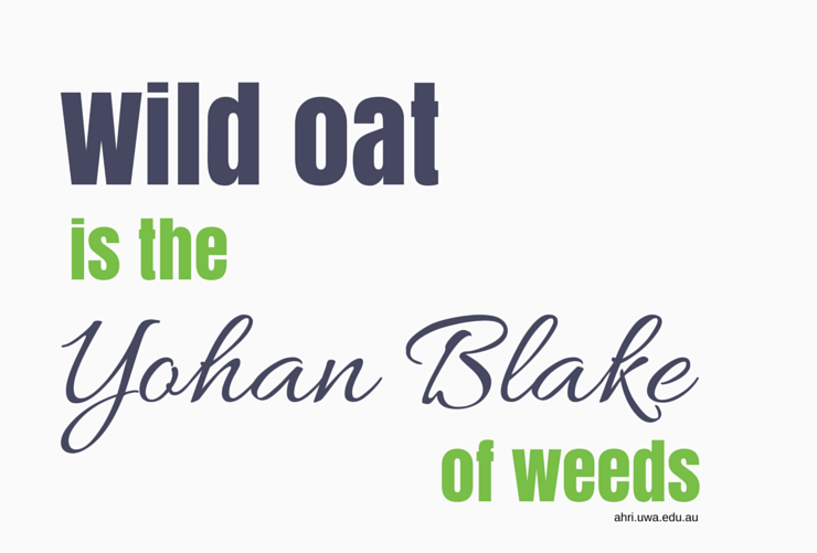 #47 blog and tweet card