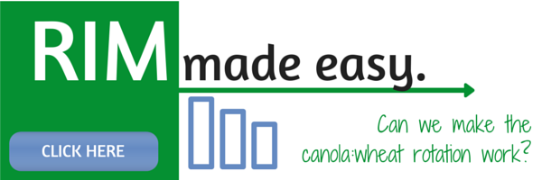 website and insight advert