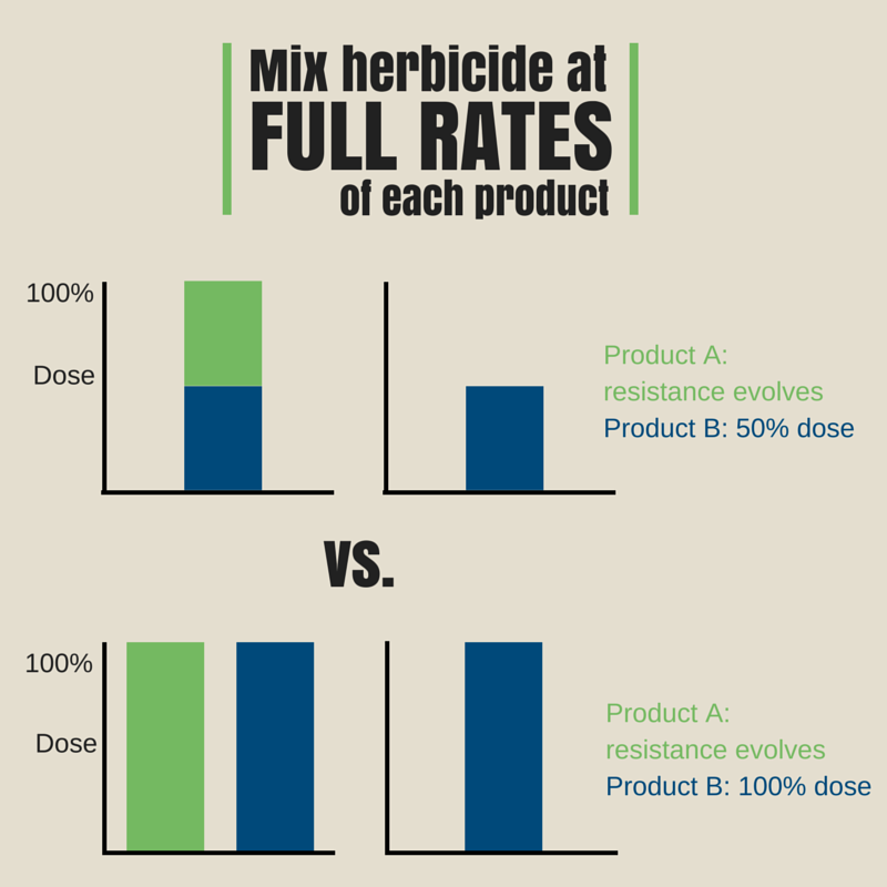 #50 mix herbicides at full rates