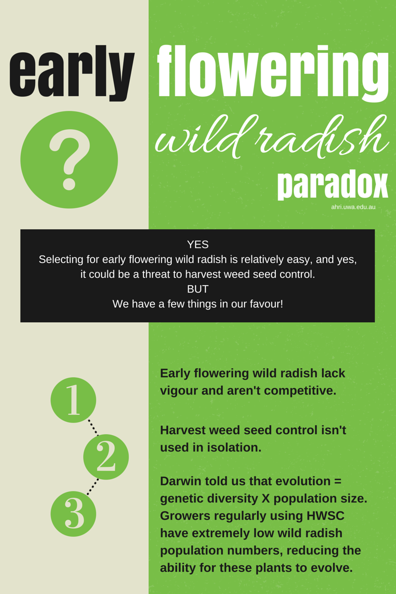 #51 blog graphic_odds in our favour