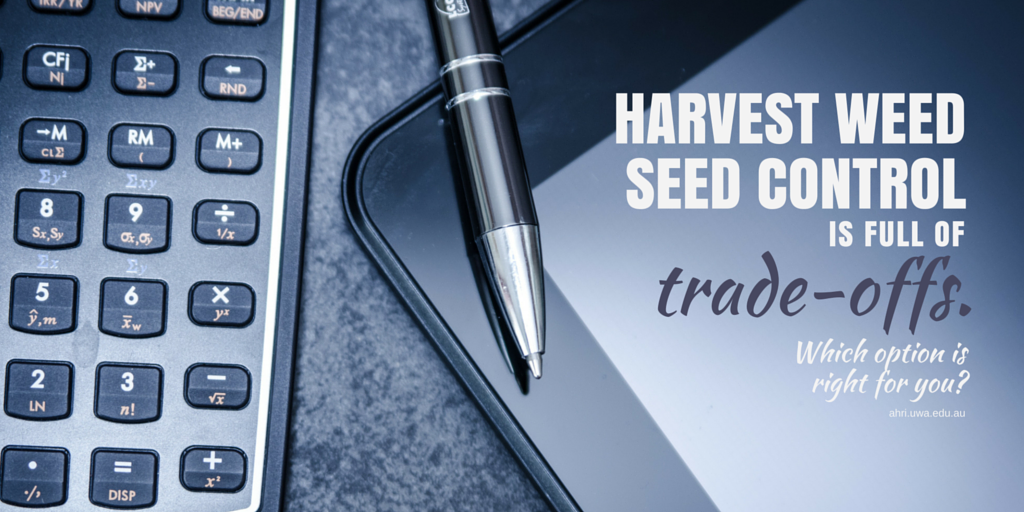 #54 blog and tweet card