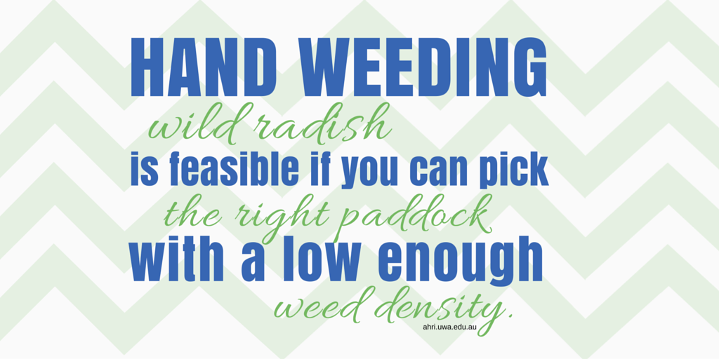 #56 blog and tweet card