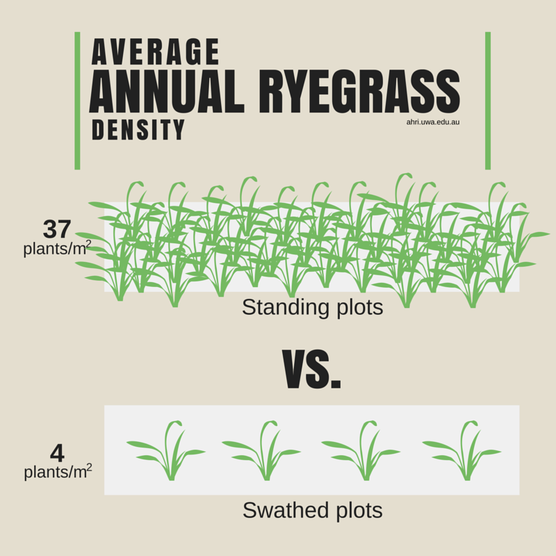Graphic 2_av RG density