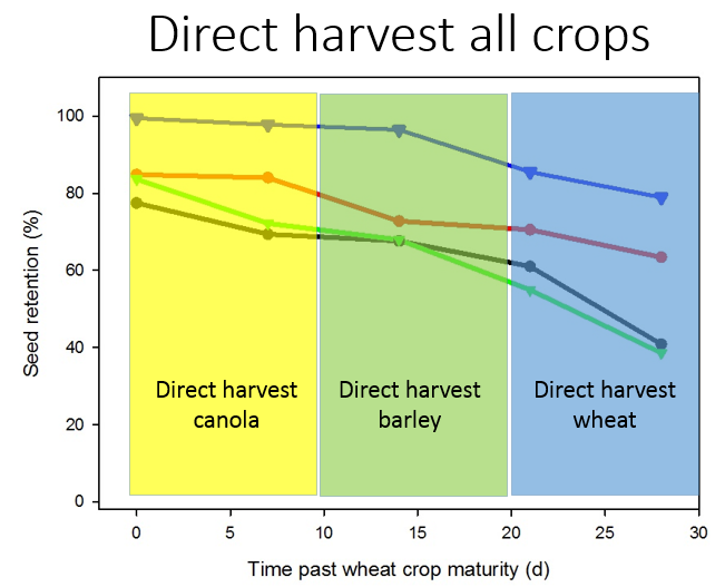 seed shed direct harvest