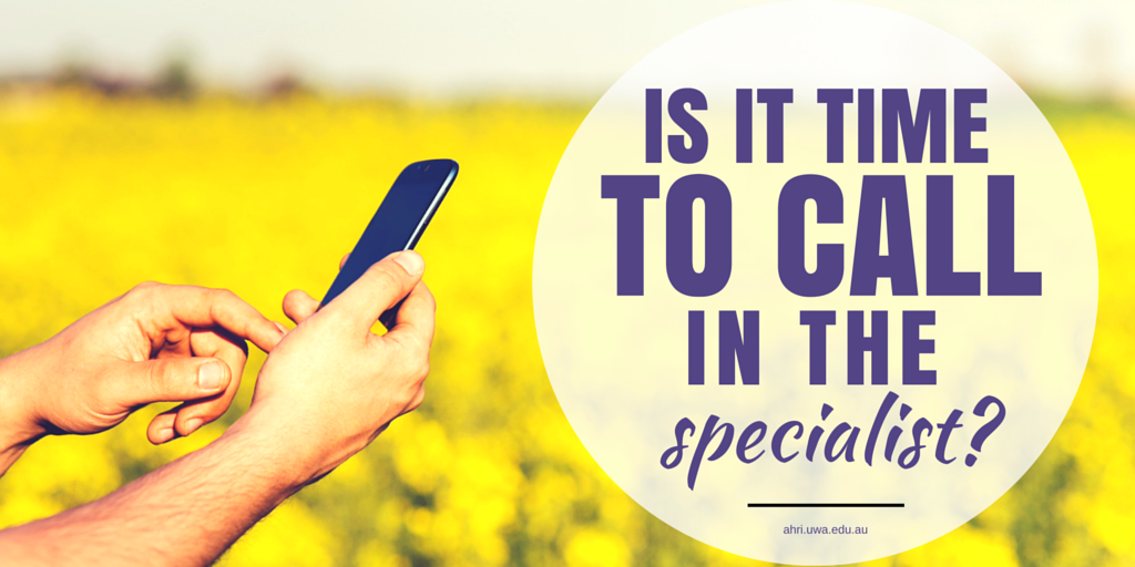 #57 blog and tweet card