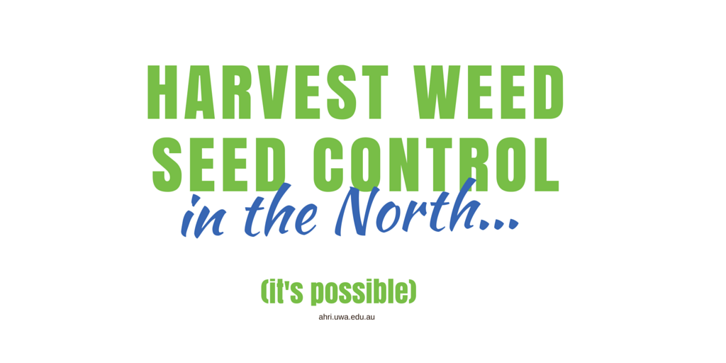 #65 blog + tweet card