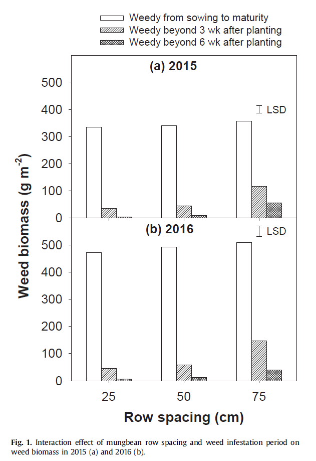 mungbean-row-space-weed-biomass