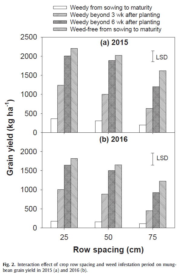 mungbean-row-space-yield