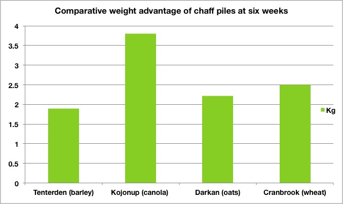 comparative-weight-advantage-of-chaff-piles-at-six-weeks