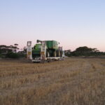 harvest weed seed control