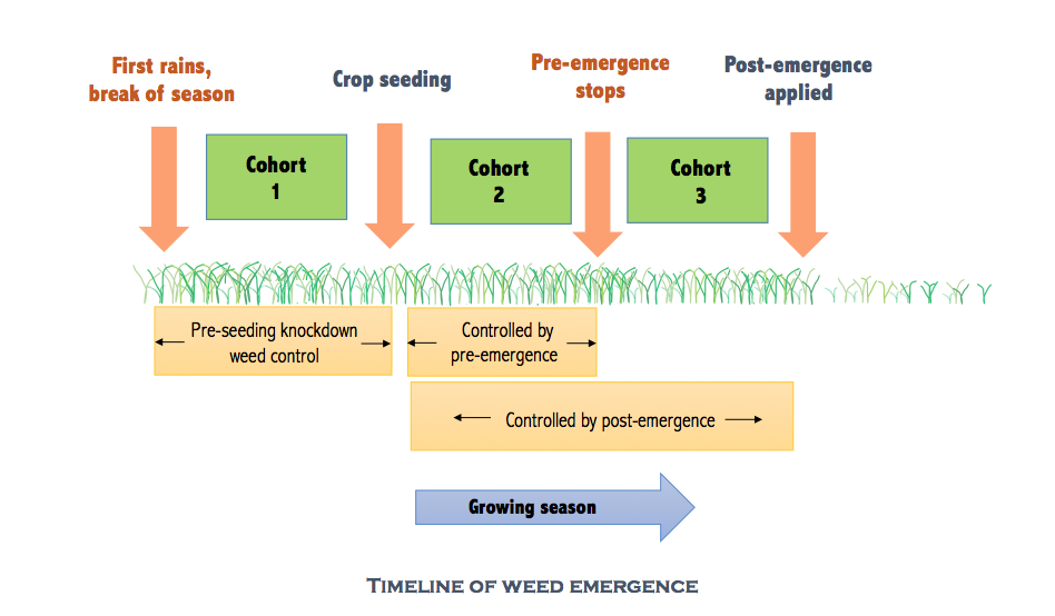 weed emergence, pre-em, post-em