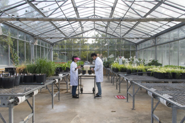 glasshouse