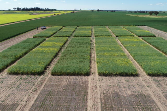 agronomy