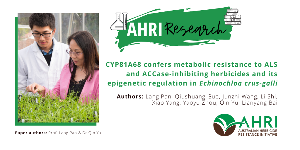 Dr Qin Yu and Professor Lang Pan