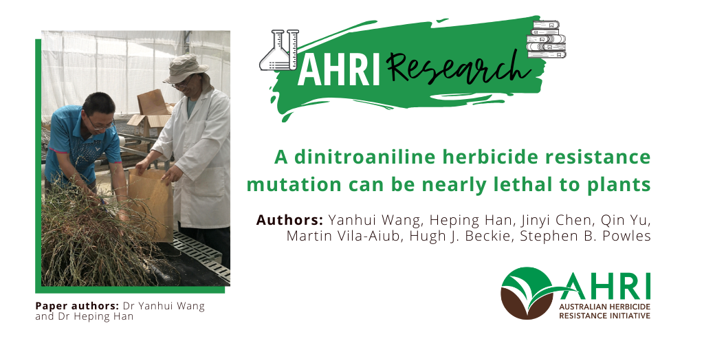 Dr Yanhui Wang and Dr Heping Han