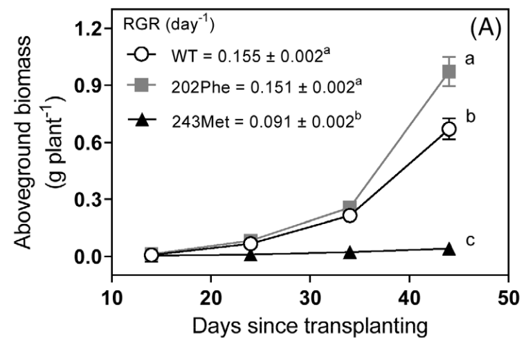 Aboveground biomass graph