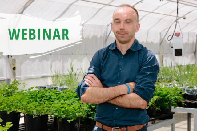 Webinar: First cases of glyphosate and paraquat resistant ryegrass in WA