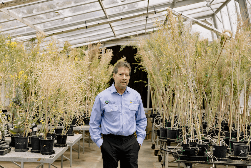 AHRI Director Hugh Beckie standing in the glass house, surrounded by plants
