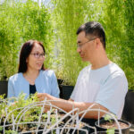 Dr Qin Yu and Dr Heping Han